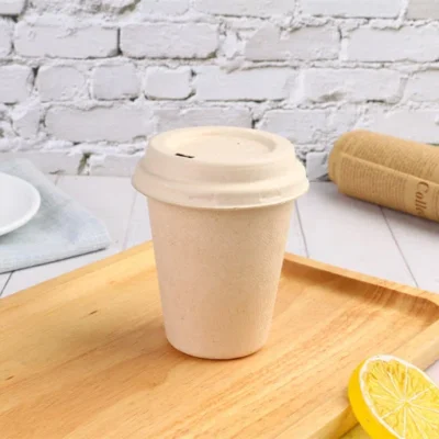 ly giấy bã mía đẹp