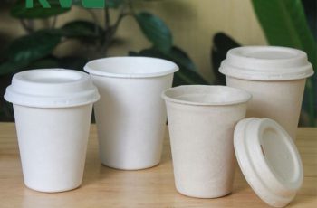 Quà Tặng Thân Thiện Môi Trường: Lựa Chọn Hàng Đầu 2025